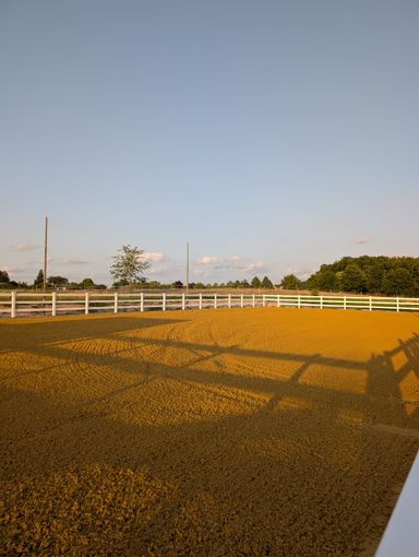 Dressurplatz 20x40m mit Licht